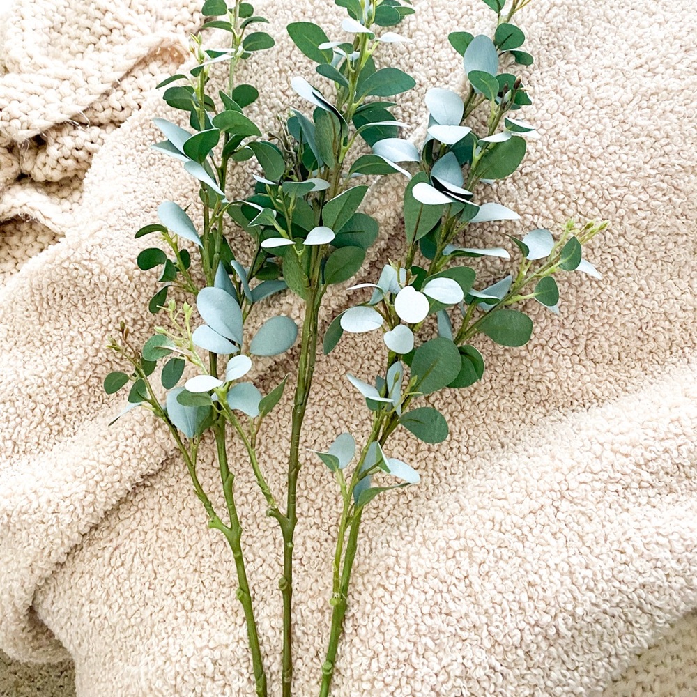 Mint Velvet Eucalyptus Stem